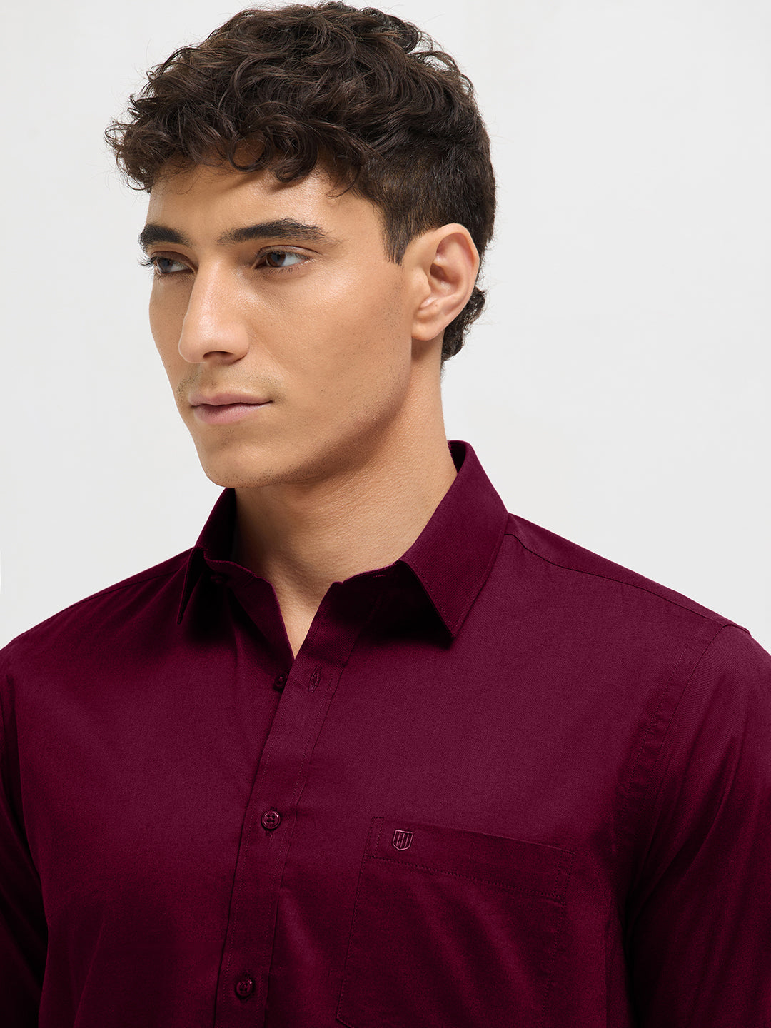 Berry Wine Solid Formal Shirt