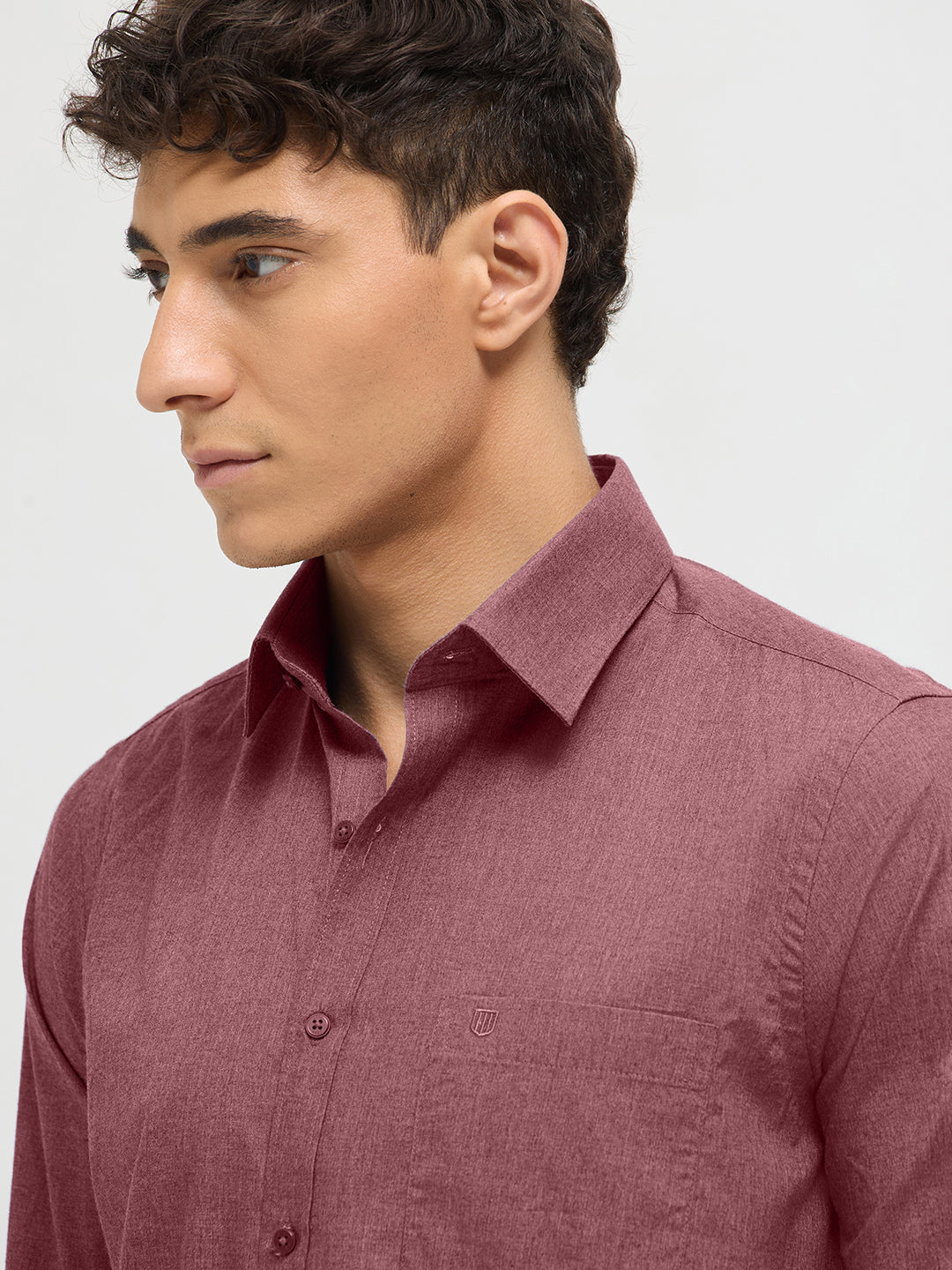Light Wine Solid Formal Shirt