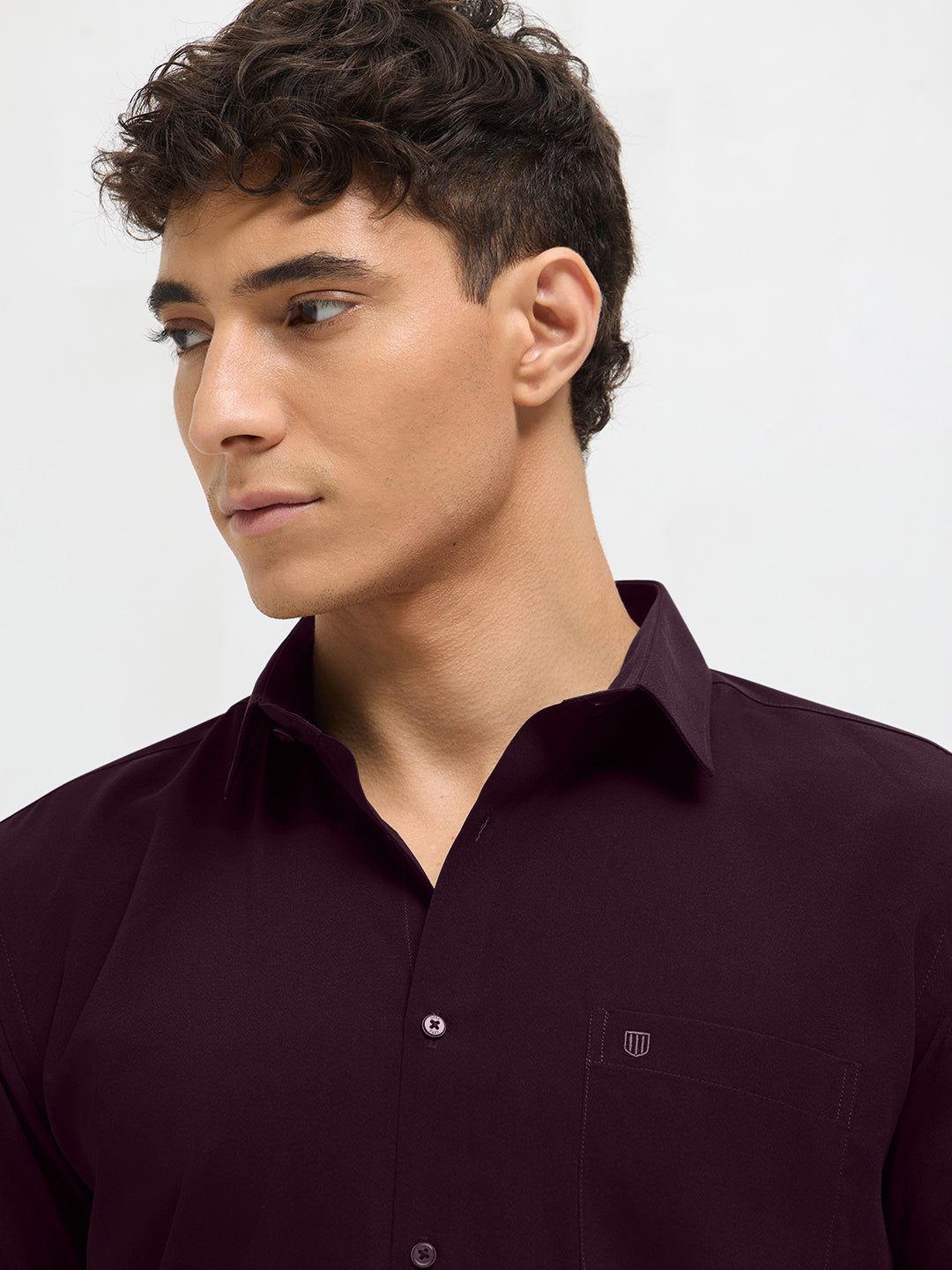 Dark Wine Solid Formal Shirt