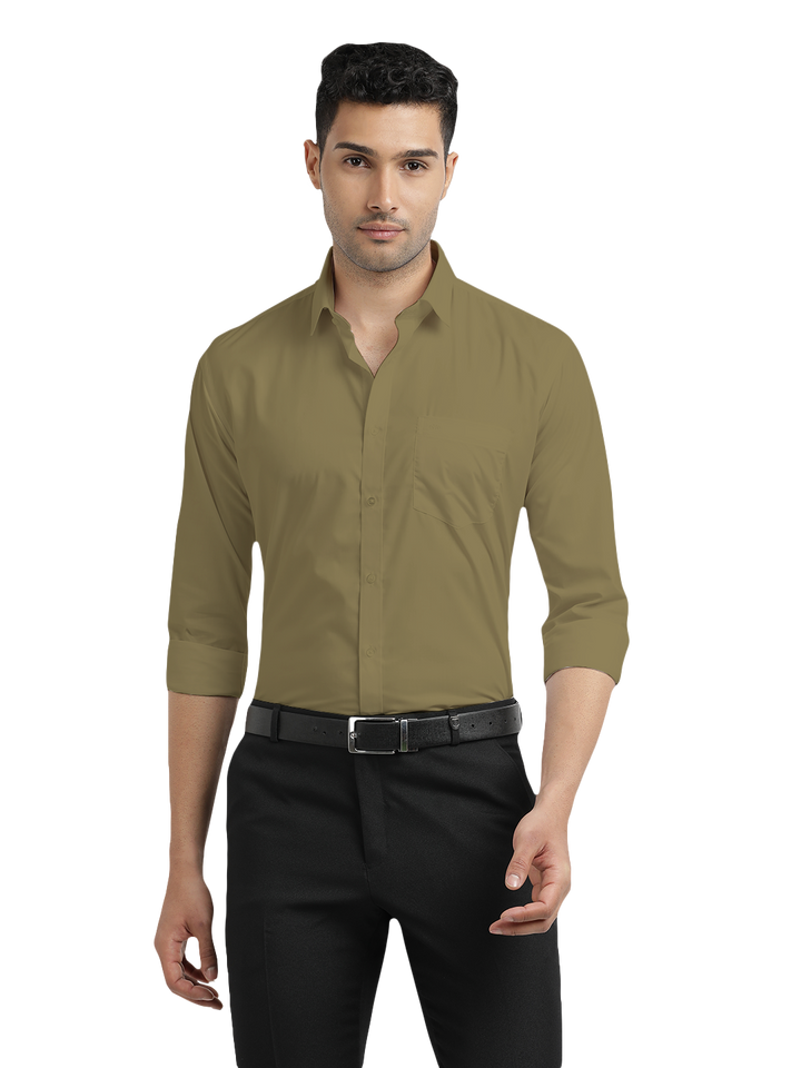 Sage Green Formal Solid Shirt