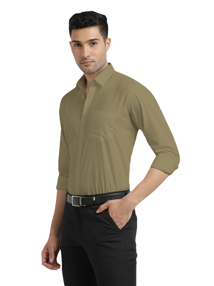 Sage Green Formal Solid Shirt