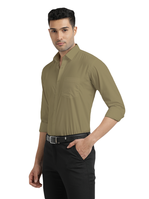 Sage Green Formal Solid Shirt