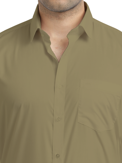 Sage Green Formal Solid Shirt