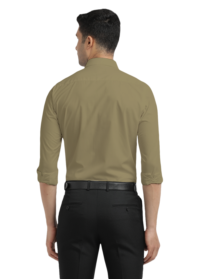 Sage Green Formal Solid Shirt