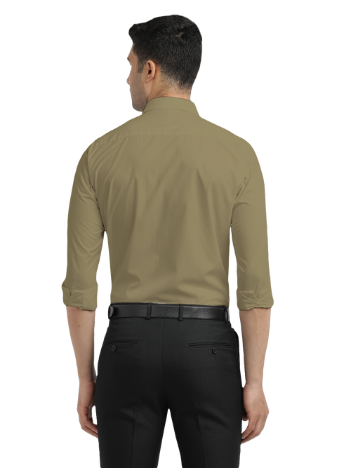 Sage Green Formal Solid Shirt