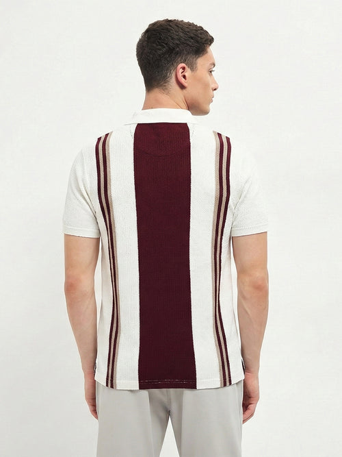 Burgundy and Cream Vertical Stripes Polo T Shirt