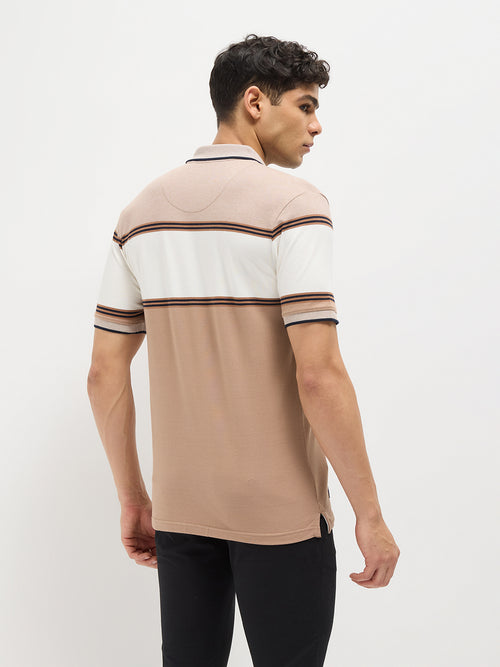 Brown Stripes Polo T Shirt