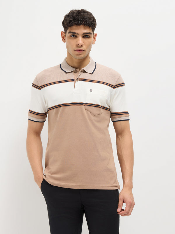 Brown Stripes Polo T Shirt