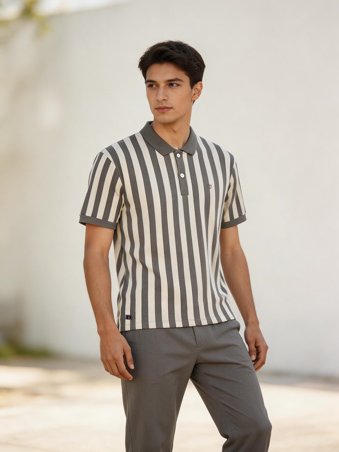 Ash Grey Vertical Stripes Polo T Shirt