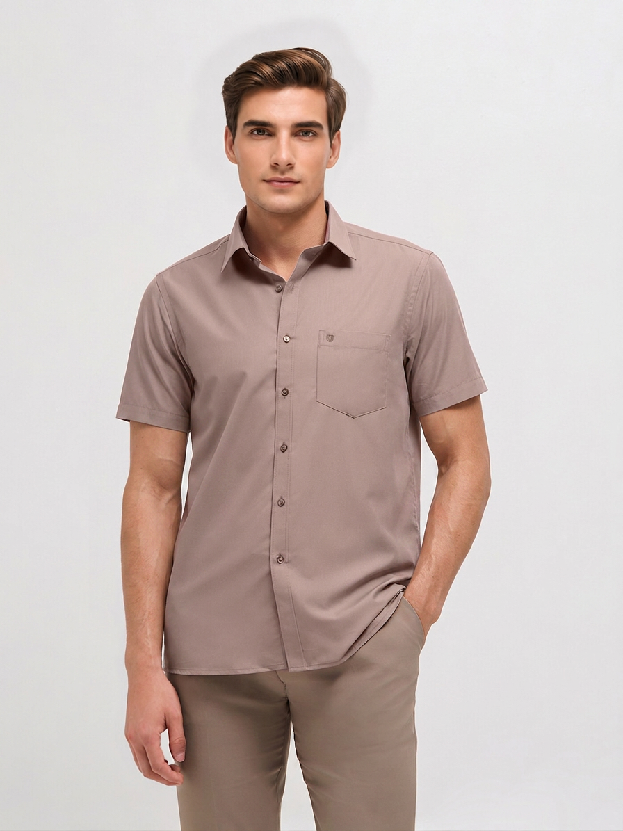 Ash Taupe Solid Formal Shirt