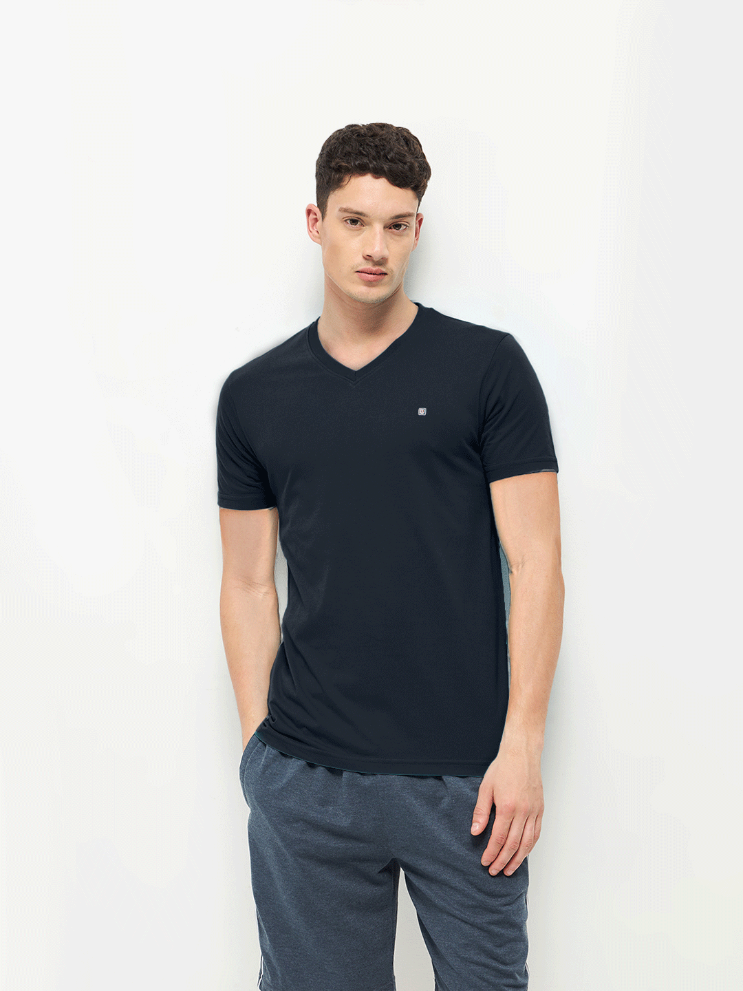 men's v neck t shirts